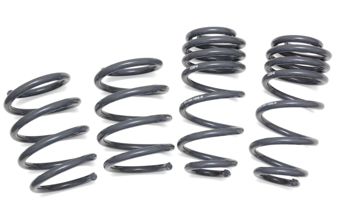 034MotorsportDynamic+LoweringSpringsfor8SAudiTTRS