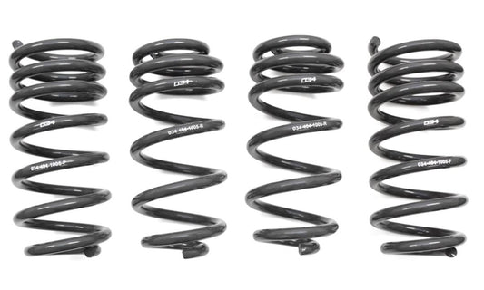 034MotorsportDynamic+LoweringSpringsforB9AudiS4/S5/RS5