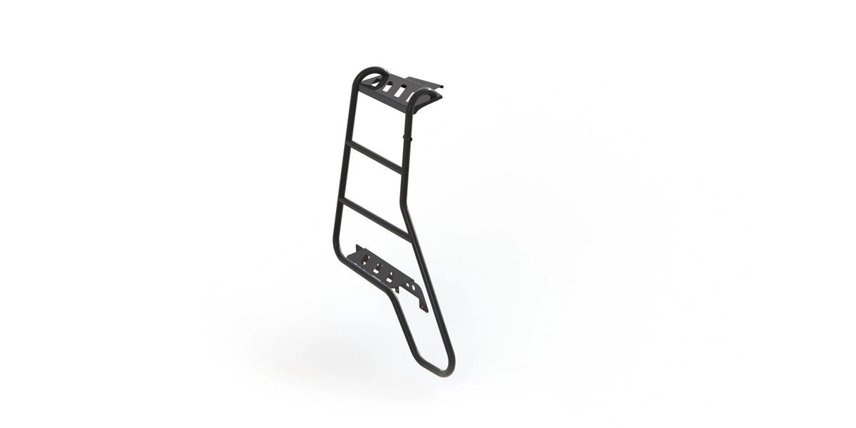 Discovery3&4RearLadder