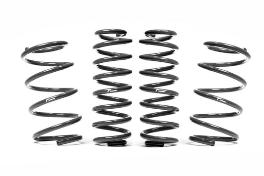 RacinglineSportLoweringSpringSet–AudiRS38VSaloon/Sedan(2012+)–VWR3130RS